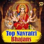 Top Navratri Bhajans - Devi Song Download